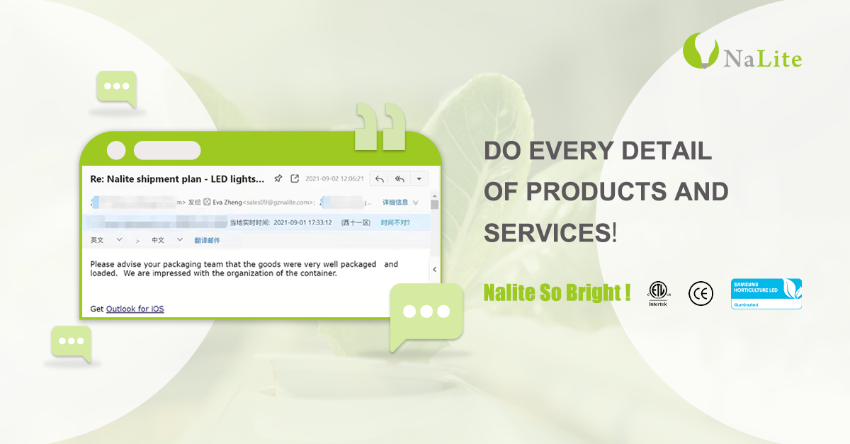 Nalite Customer's Feedback