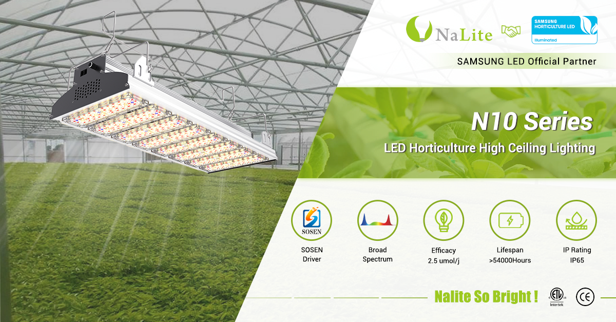 Nalite Product - N10 Series High Ceiling Lamps